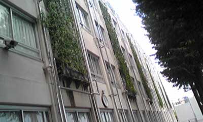 グリーンカーテン